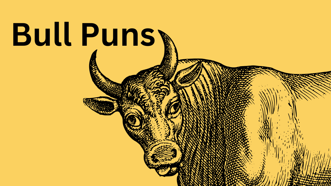 Bull Puns