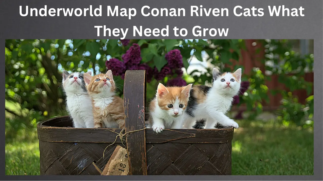 Underworld Map Conan Riven Cats What They Need to Grow